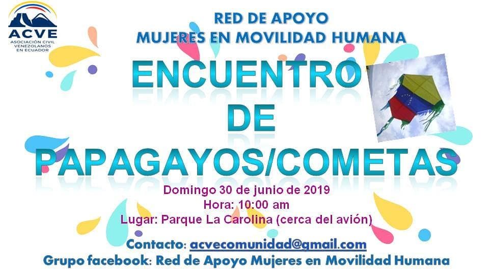 Encuentro de papagayos y cometas