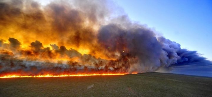 brasil incendios
